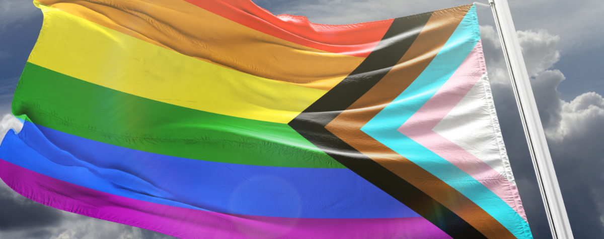 LGBTQIA flag